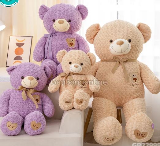 Gấu bông teddy mặt gấu ôm tim (1m1)