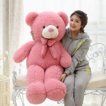 Gấu teddy lông xù