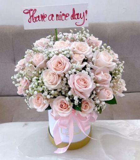 Have A Nice Day