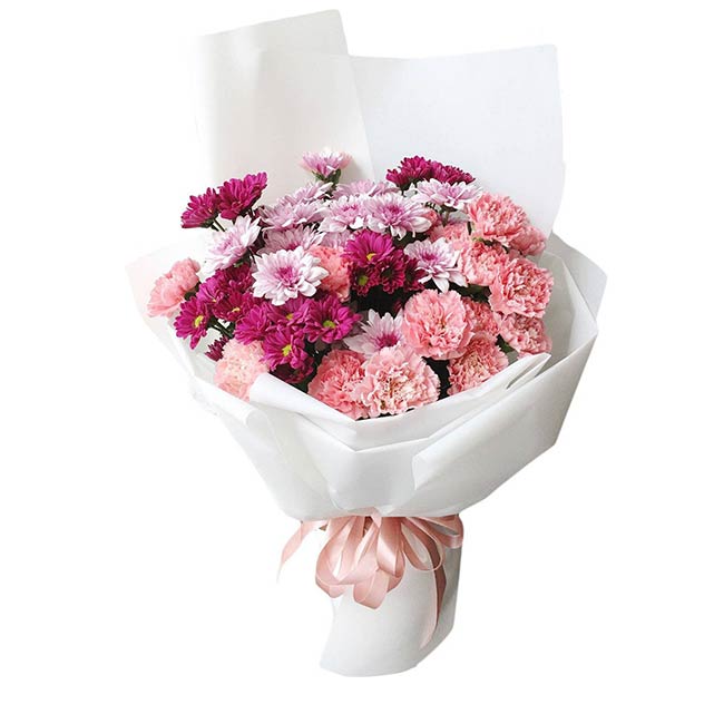 Bó Hoa Cẩm chướng Carla