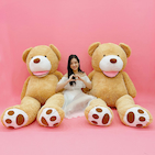 Teddy vàng