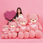 Gấu bông Teddy Angle Hồng