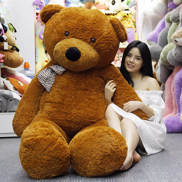 Gấu bông Teddy - Nâu nhập