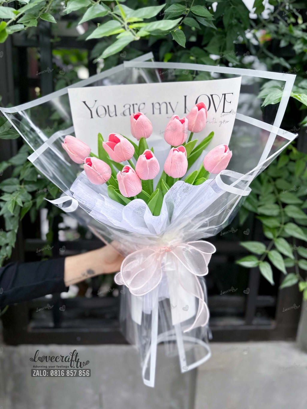 Hoa tulip