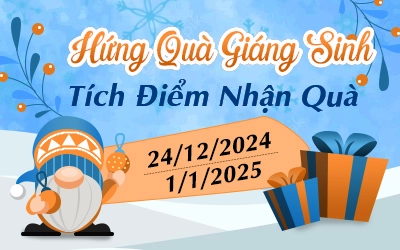 chinh_vn