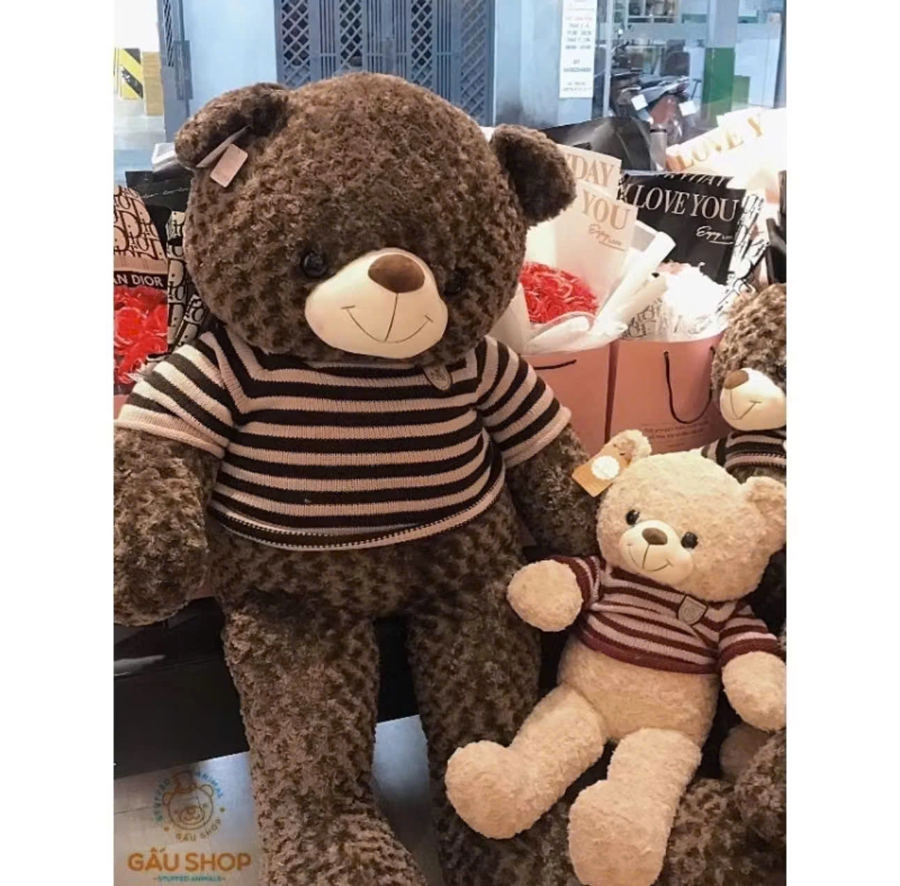 Gấu teddy nâu
