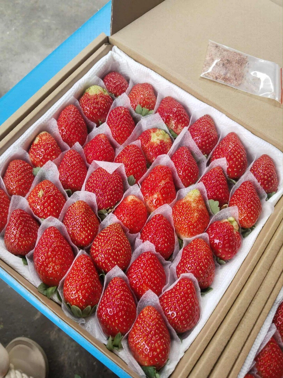 Dâu nhật + cam ép